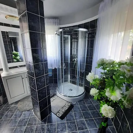 Holiday home Topler Villa *